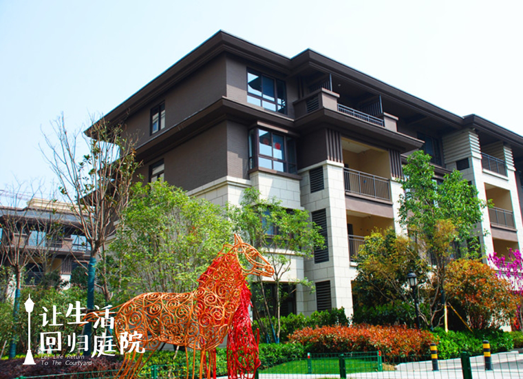 前后张望南阳50年：这样的庭院，，，，，，很难再有了！