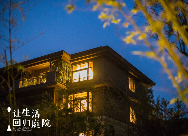 前后张望南阳50年：这样的庭院，，，，，，很难再有了！