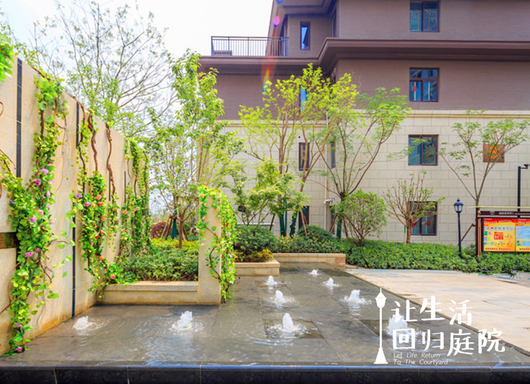 前后张望南阳50年：这样的庭院，，，，，，很难再有了！