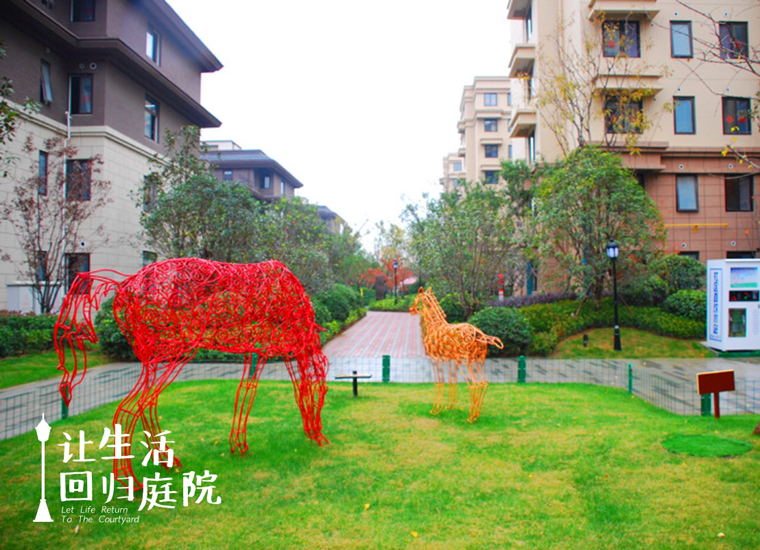 前后张望南阳50年：这样的庭院，，，，，，很难再有了！