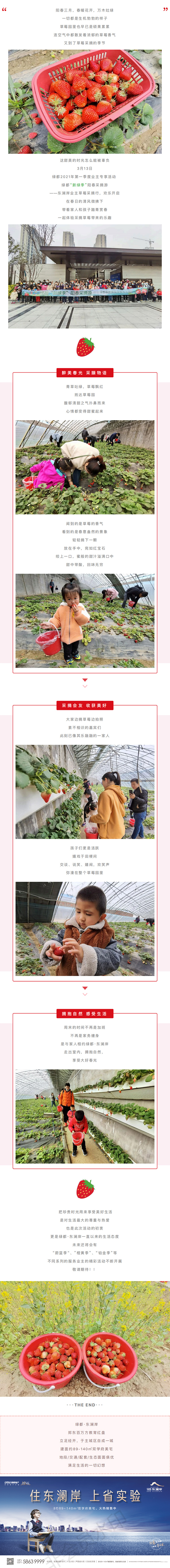 草莓采摘行|“莓”好偕行，，，，，不负春日好时光